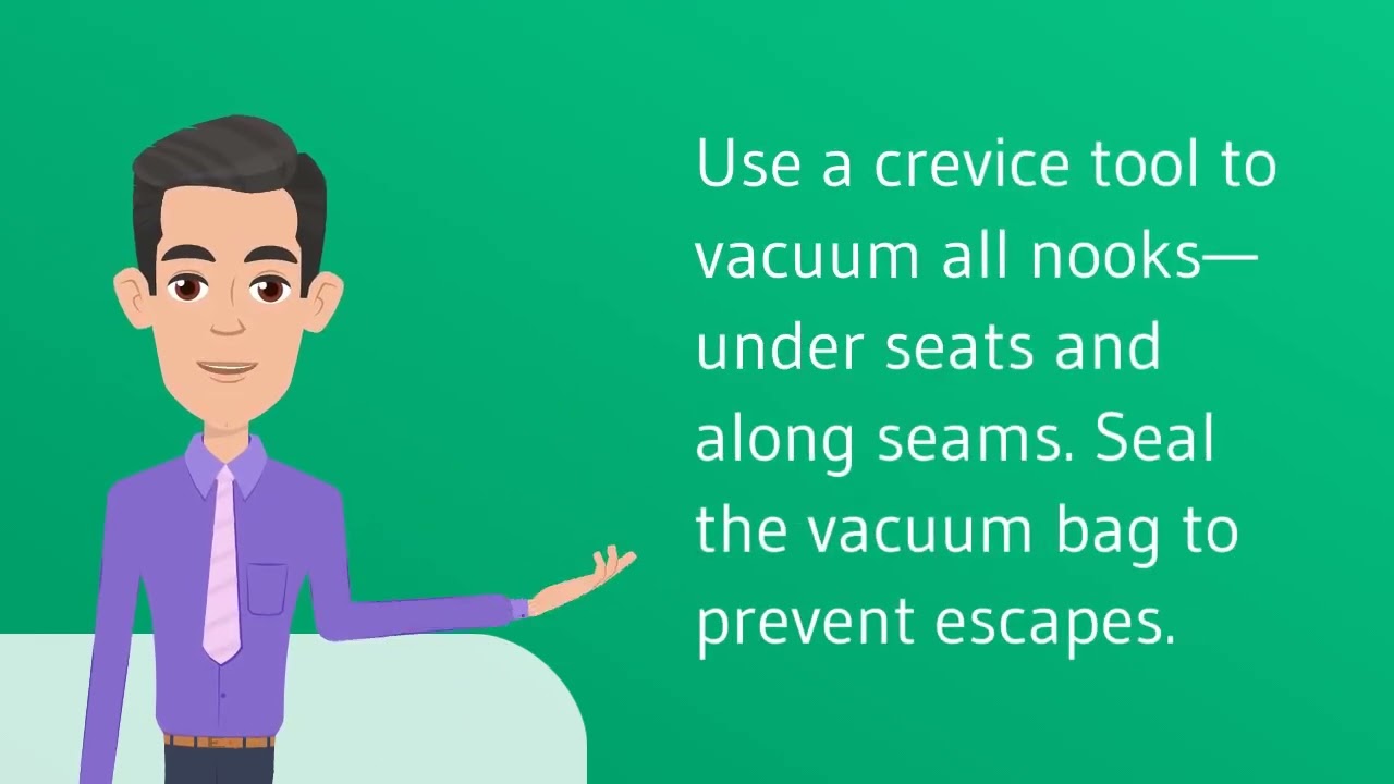 How to Get Rid of Black Carpet Beetles in Car