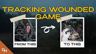 After the Arrow - 6 Rules for Tracking Wounded Game