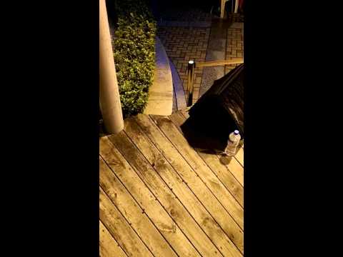 或許你是對的