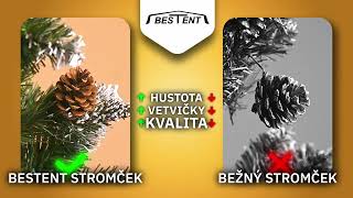 Porovnanie Vianočných Stromčekov - Bestent.sk