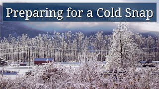Preparing for a Cold Snap How To Prepare For Cold Snaps
