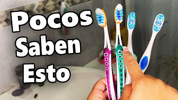 ¿Crecen bacterias en su cepillo de dientes?