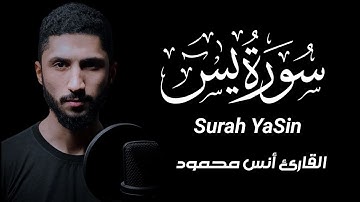 سورة يس [كاملة] تلاوة هادئة|| القارئ أنس محمود [Surah YaSin]