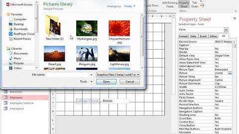 شرح النماذج  (forms)  داخل قواعد البيانات باستخدام الاكسس