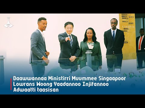 Daawwannaa Ministirri Muummee Singaapoor Lowrans Woong Yaadannoo Injifannoo Adwaatti Taasisan