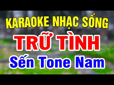 Karaoke Nhạc Sến Bolero - Karaoke Liên Khúc Nhạc Sến Trữ Tình Bolero Tone Nam | Cảm Ơn - Nhớ Người Yêu