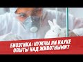 Биоэтика: нужны ли науке опыты над животными? - Общество