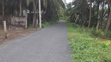 19/11/2025. Bán gấp lô đất thổ cư mặt tiền đường nhựa  L H 0984758832. Sang 