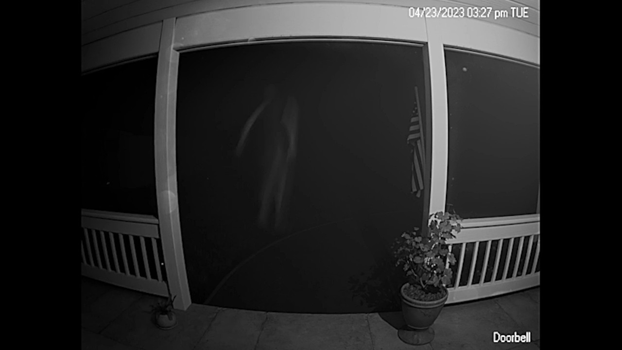 НОЧНЫЕ СУЩЕСТВА