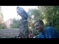 ГАЙД, КАК ДОБЫВАТЬ АРБУЗЫ В ЭТОЙ ЖИЗНИ ИЛИ ПСИХОДЕЛИКА СМЕХА
