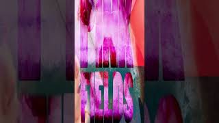 Watch Neon Hitch Pink Fields feat Chris Tunes video