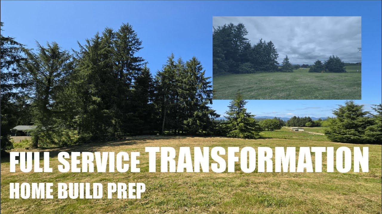 Overgrown to Park | Tree Clearing, Brush Cutting, Stump Grinding & More