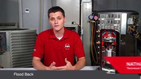 What Causes Flood Back?