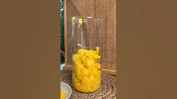 Making Of - Yuzu Honey 🍊🍯 | Honeyful Bubbly