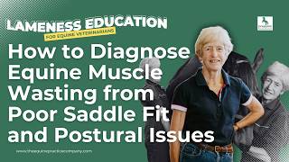 How to Diagnose Equine Muscle Wasting from Poor Saddle Fit and Postural Issues