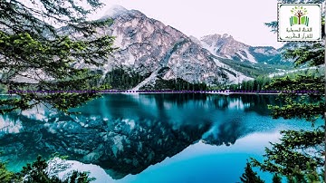 4 تلاوة خاشعة وهادئة تريح القلب و تدمع العين / Quran récitation