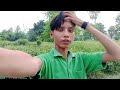 hamare gaon ki nursery
