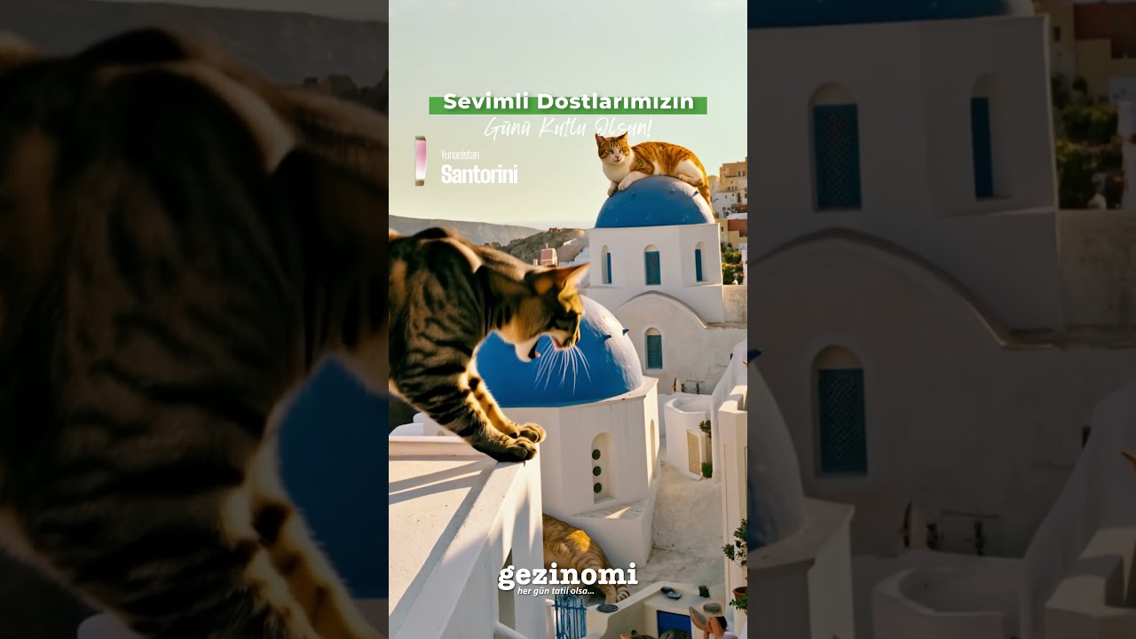 🐾🌍 Dünya Kediler Günü Kutlu Olsun!