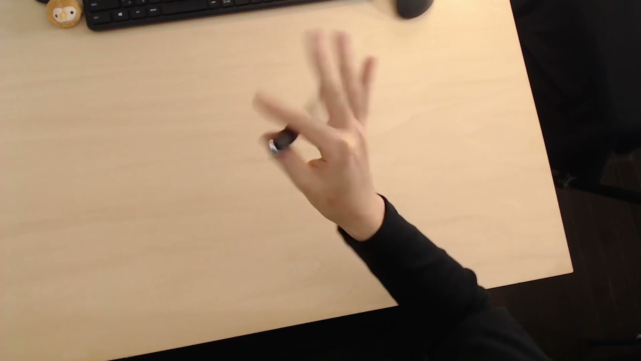 ペンを回す梟の日記