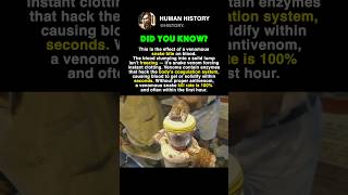 When Snake Venom Touches Human 😳 #history #shorts