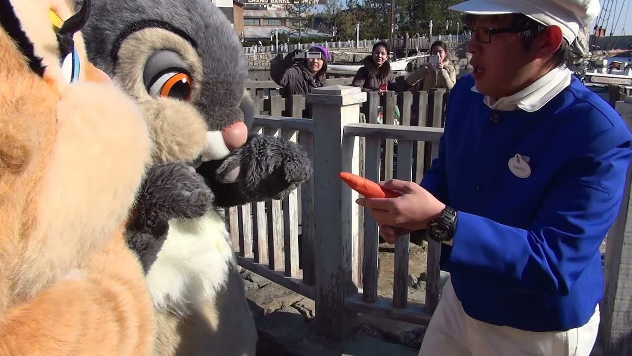 【TDS】にんじんをあげよう！【ファンカスト、ケープコッド】