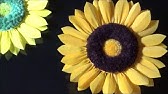 本物そっくり 紙で作る立体的なひまわりの花の作り方 Diy How To Make Paper Sunflower Wall Decor Youtube