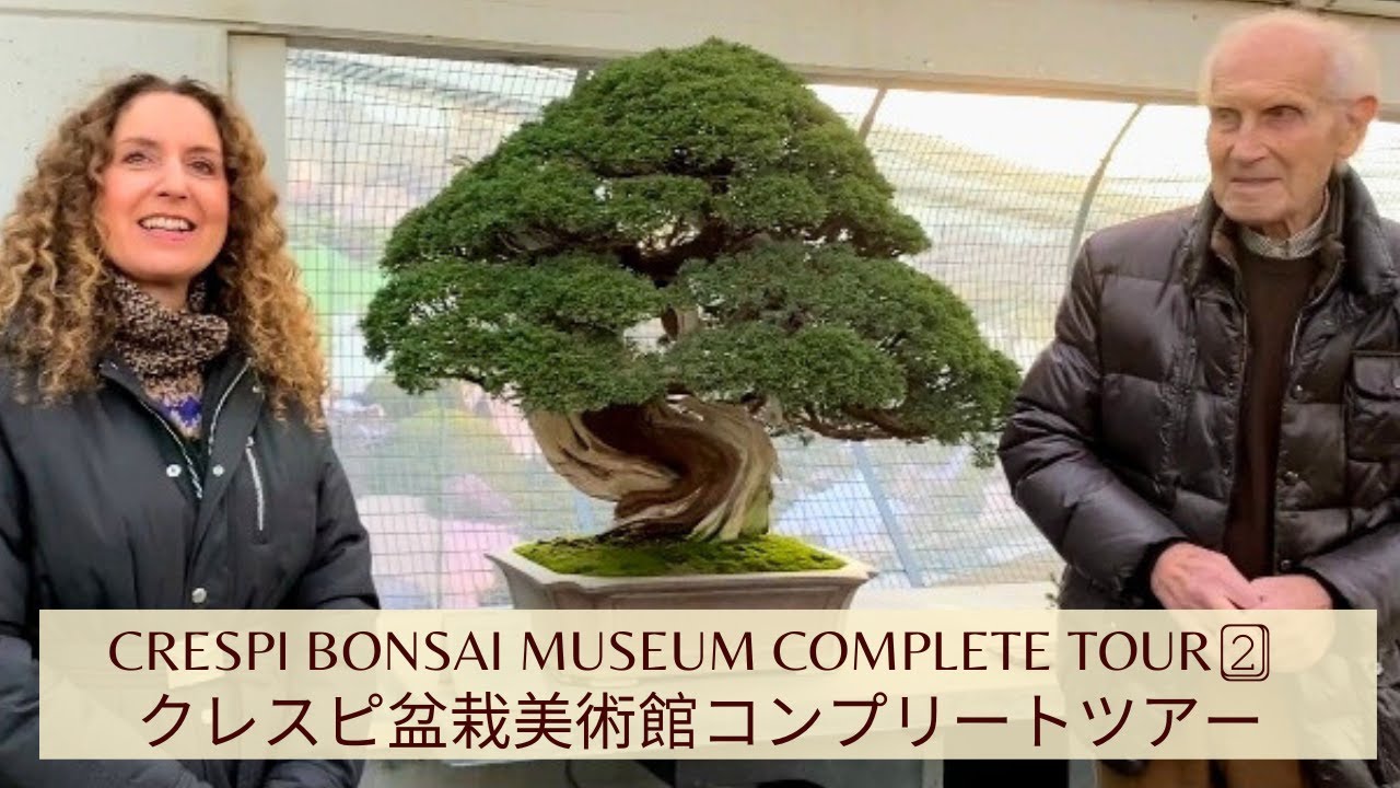 Crespi Bonsai Museum Complete Tour Part 2 クレスピ盆栽美術館コンプリートツア－・パート2