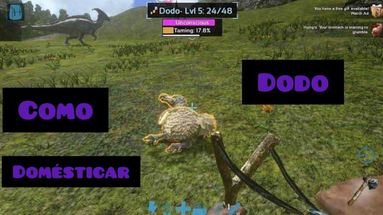 cómo domésticar un dodo fácil y rápido ARK Mobile #3 - YouTube