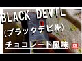 BLACK DEVIL ブラックデビル・チョコレート～ほろにがタバコ