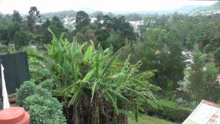 Sri Lanka Hill Country