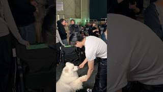 사모예드랑 #JENO#NCTJNJM #BOTHSIDES #NCTJNJM_BOTHSIDES