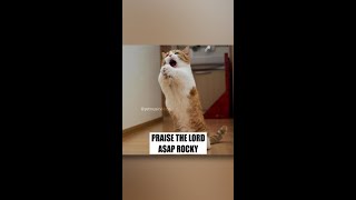 Aap Rocky  Praise The Lord da Shine  Pet  S