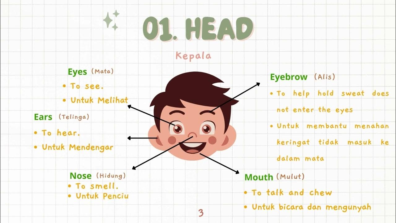 How to pronunciation parts of head YouTube