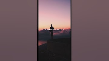 Joy in the Journey: Embrace Every Step with Purpose