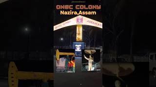 Work And Travel Vlog Assam Site Visit Ongc Nazira  Staff Colony shorts minivlog Incredibleindia