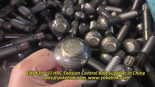EN 14399 10 HRC Tension Control Bolt Supplier in China