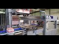 Gantry palletizer