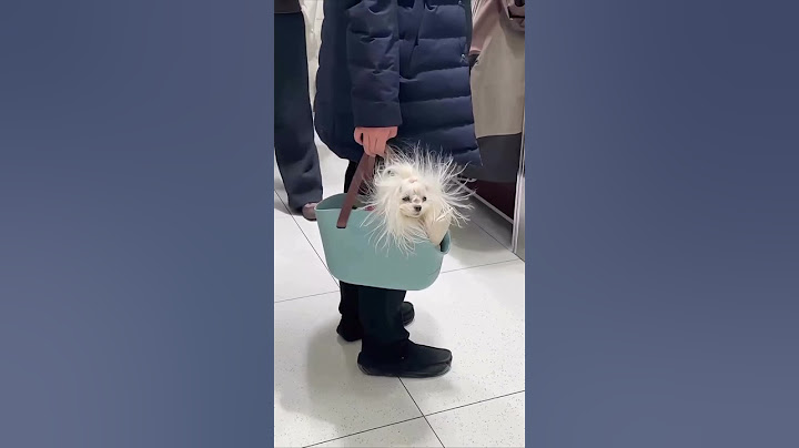Когда легла спать с мокрой головой. 😱 #dog #косметика #originalkoreancosmetics #корея  #skincare