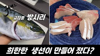 [유튜브최초] 이상한 잡종이 시장에 들어왔다! 하이브리드 방시리! 그 베일을 벗깁니다