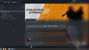 How to install CS2 on Linux Mint