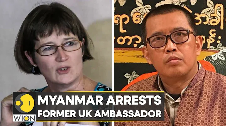 Former UK Ambassador Vicky Bowman arrested along w...