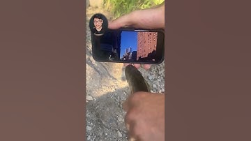 Chứng ngư lịch sử ?