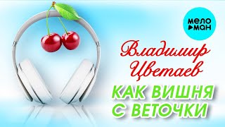 Владимир Цветаев – Как вишня с веточки (Single 2023)