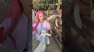 Конец добил🤣 Ижевск 23 мая Фанвстреча ✨тц Мой Порт в 15🕒 вход бееесплатный