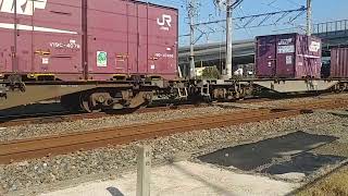 5075列車1時間遅れJR貨物桃太郎EF210−147と白い115系
