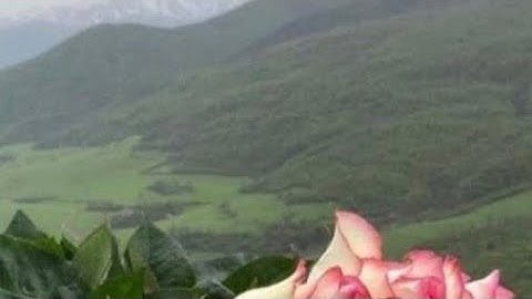 (ص ٩٨ سورة النساء ) - القارئ الشيخ علي بن عبد الرحمن الحذيفي حفظه الله تعالى