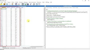 Using R-Instat In different languages