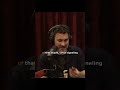 Joe Rogan Experience #2471 - Mark Normand - Clip 7 #shorts