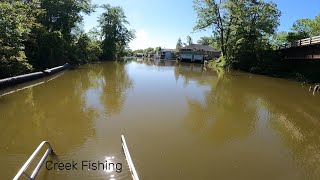 Morning Creek Fishing! Ellicott Creek, Tonawanda NY