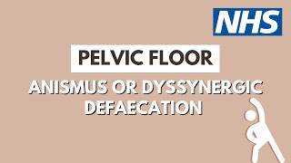 Anismus or Dyssynergic Defaecation - Leicester Pelvic Floor Service | UHL NHS Trust